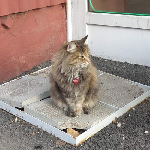 Photo #9813930