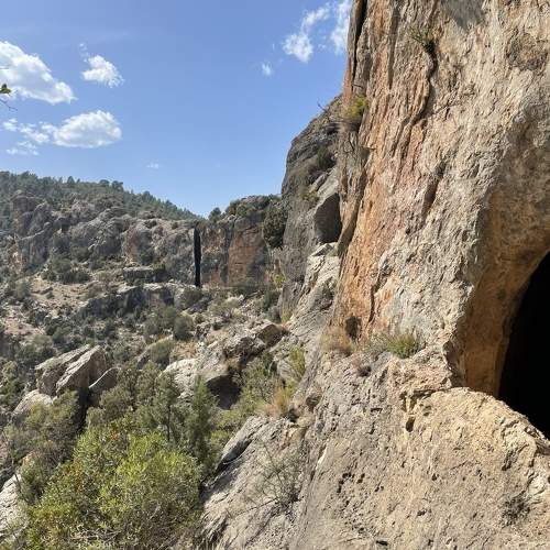 Photo #9814009