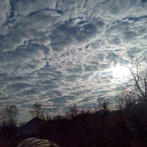 Photo #9814198