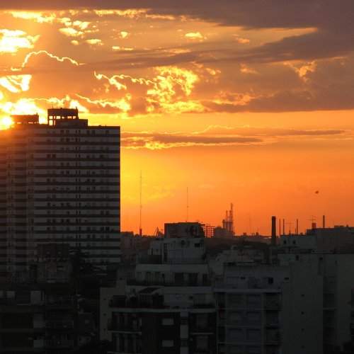 Photo #9814279