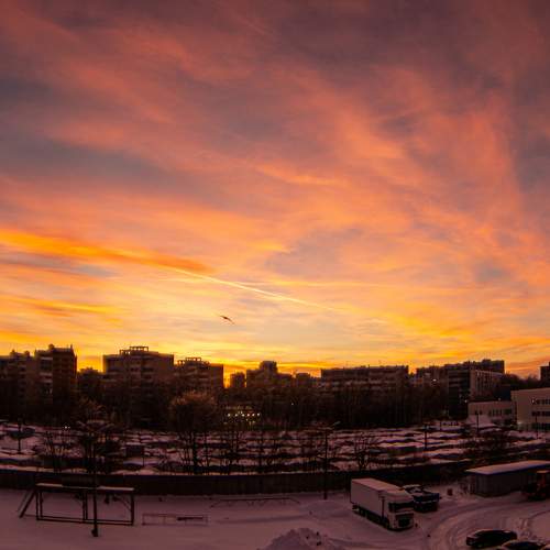 Photo #9814335