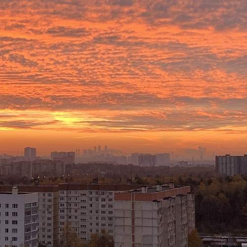 Оранжевое утро