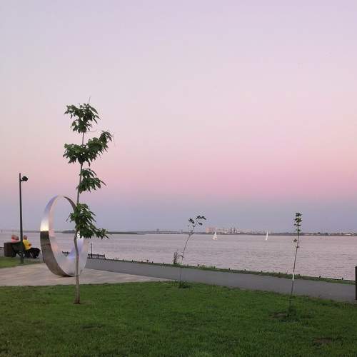 Photo #9814602
