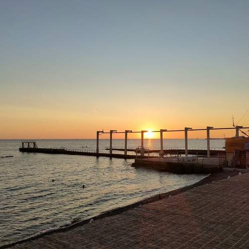 Photo #9814699