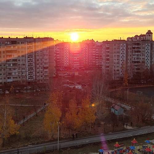 Photo #9814830