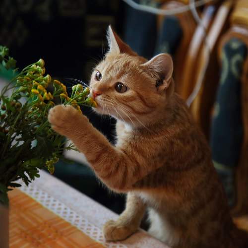 Photo #9814982