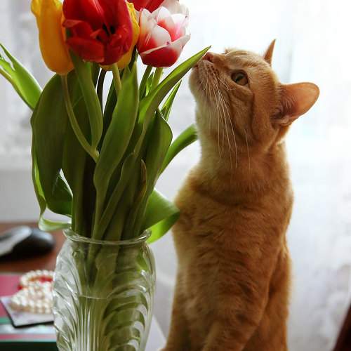Photo #9814991