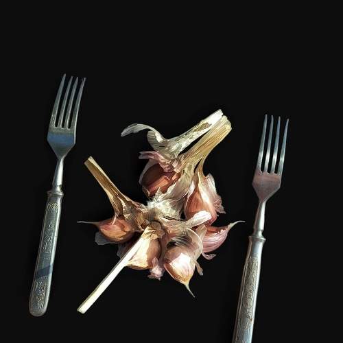 Photo #9814993