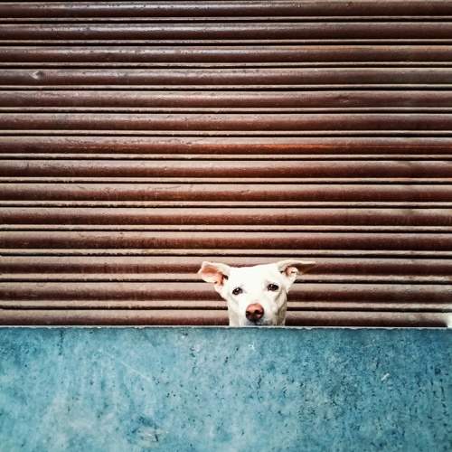 Photo #9815077