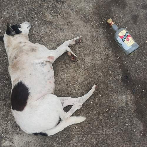 Photo #9815091