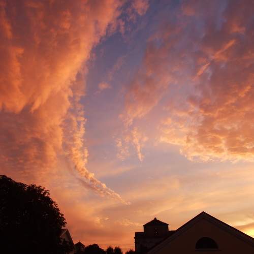 Photo #9815152