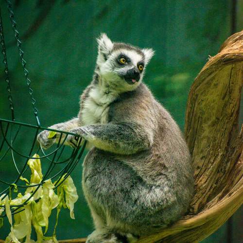 Photo #9815273