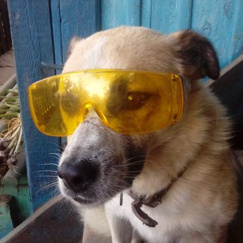 Photo #9815755