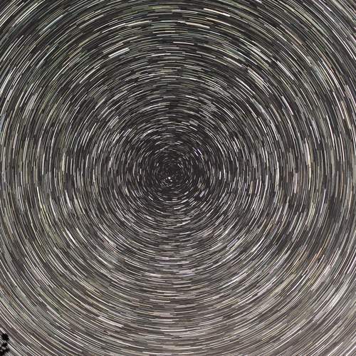 Photo #9815856
