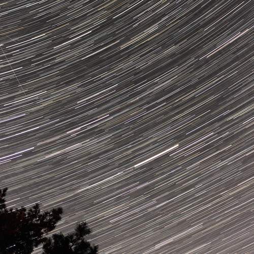Photo #9815857