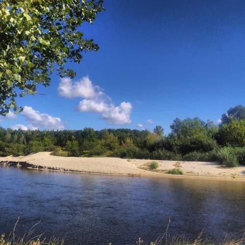Photo #9816256
