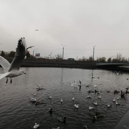 Photo #9816283