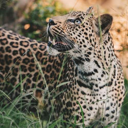 Photo #9816312