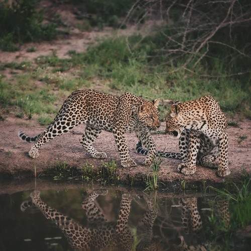 Photo #9816315