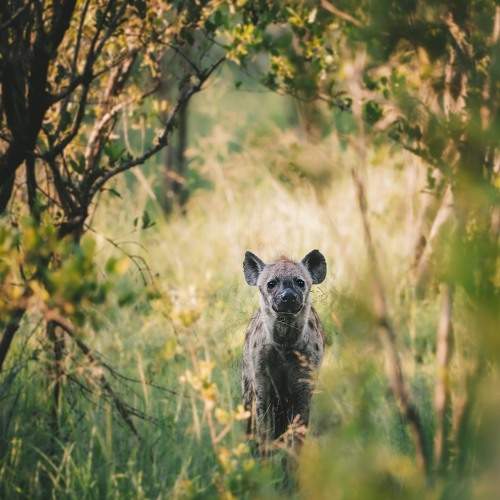 Photo #9816317