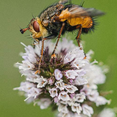 Photo #9816325