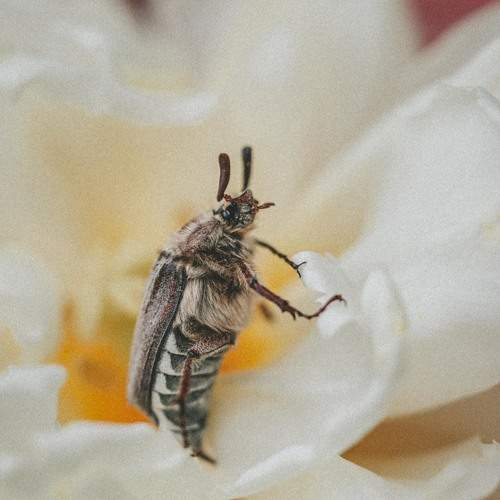 Photo #9816336