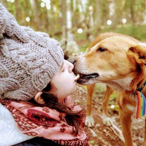 Photo #9816372