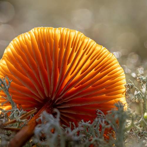 Photo #9816632