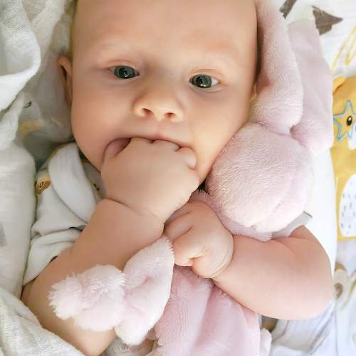 Photo #9816970