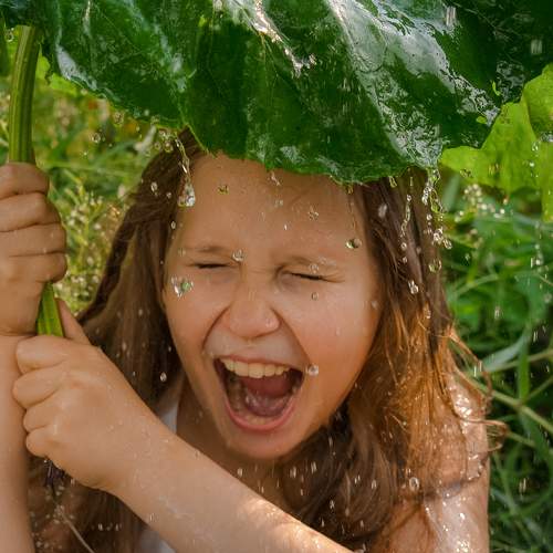 Photo #9817341