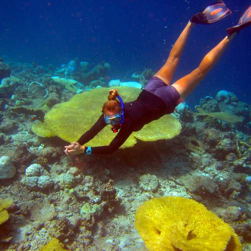 Photo #9817355
