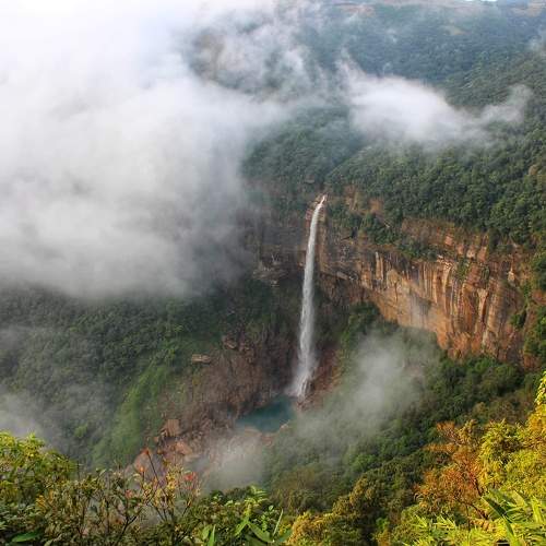 Photo #9817637