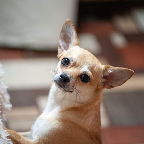 Photo #9817674