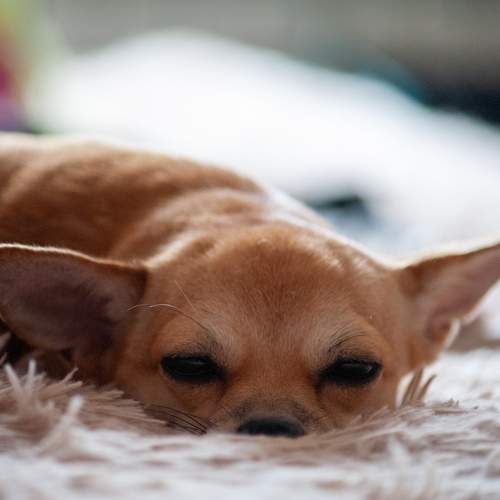 Photo #9817675