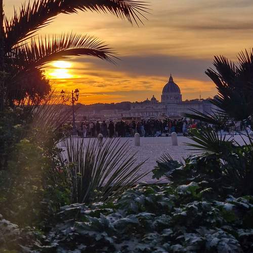 Photo #9817742
