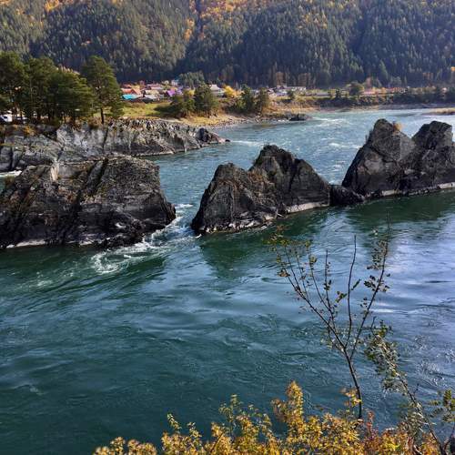 Photo #9817969