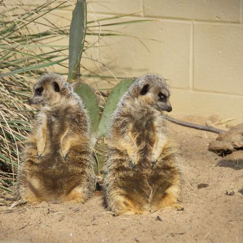 Photo #9818336