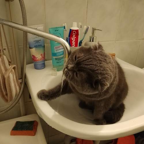 Photo #9818407