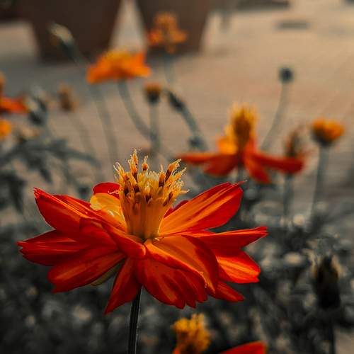 Photo #9818445