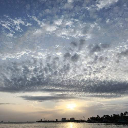 Photo #9818746