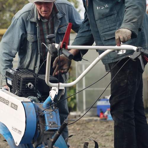 Photo #9819000