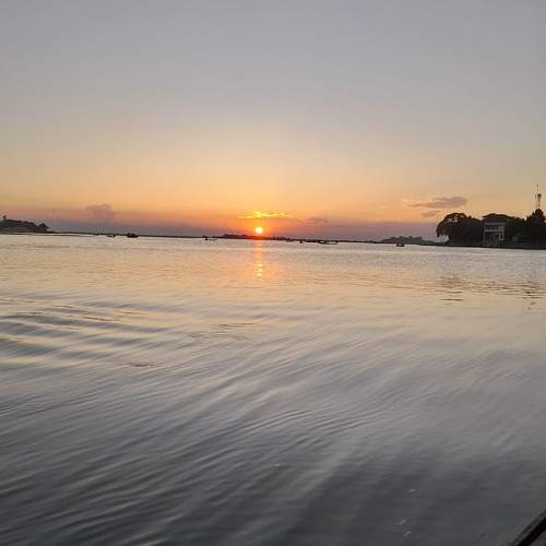 Photo #9819159