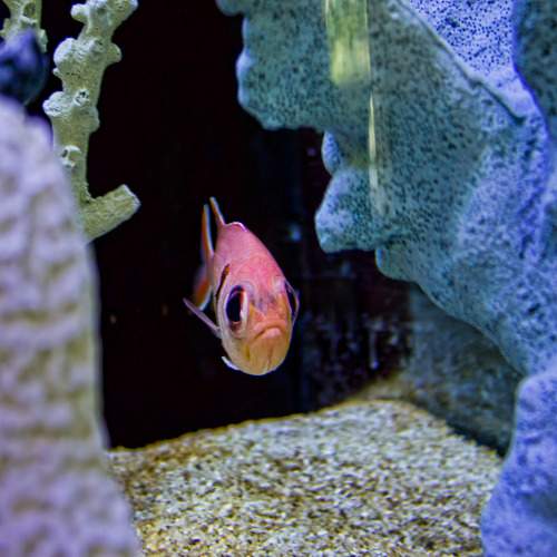 Photo #9819325