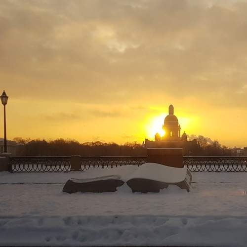 Photo #9819356