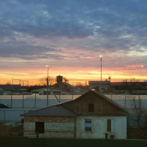 Photo #9819415