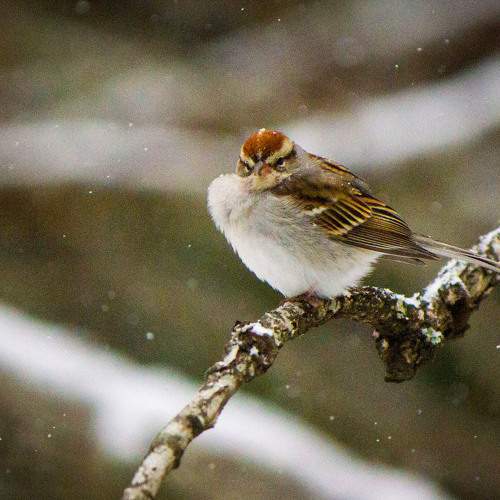 Photo #9819540