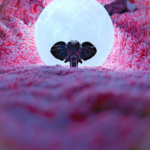 Photo #9819750
