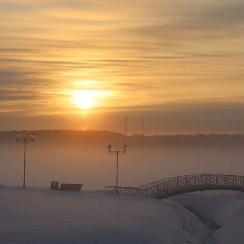 Photo #9820019