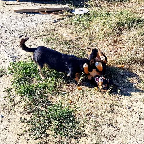 Photo #9820598
