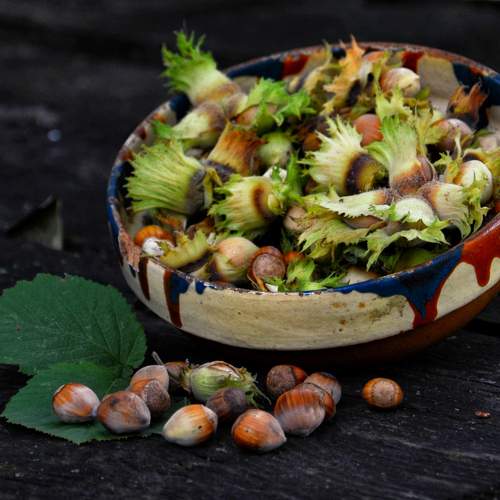 Photo #9820623